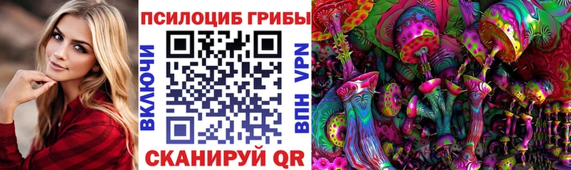 сколько стоит  mega ссылка  Псилоцибиновые грибы прущие грибы  Кимовск 