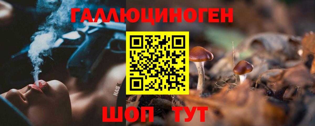 Кимовск  Псилоцибиновые грибы Psilocybe  Вход с VPN 